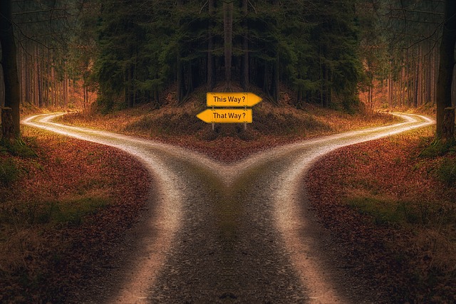 decision gd4f6251c2 640