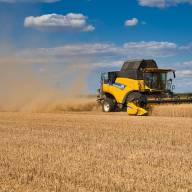 Sowing and Reaping